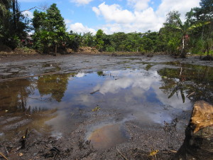 Photo courtesy by Julien Gomba. Photo of Lago Agrio in Ecuador in 2007, a place still affected by oil contamination by Texaco, later merged into Chevron. The site was one of the issues in the trial, although overlooked as a result of corruption by the defendants. 