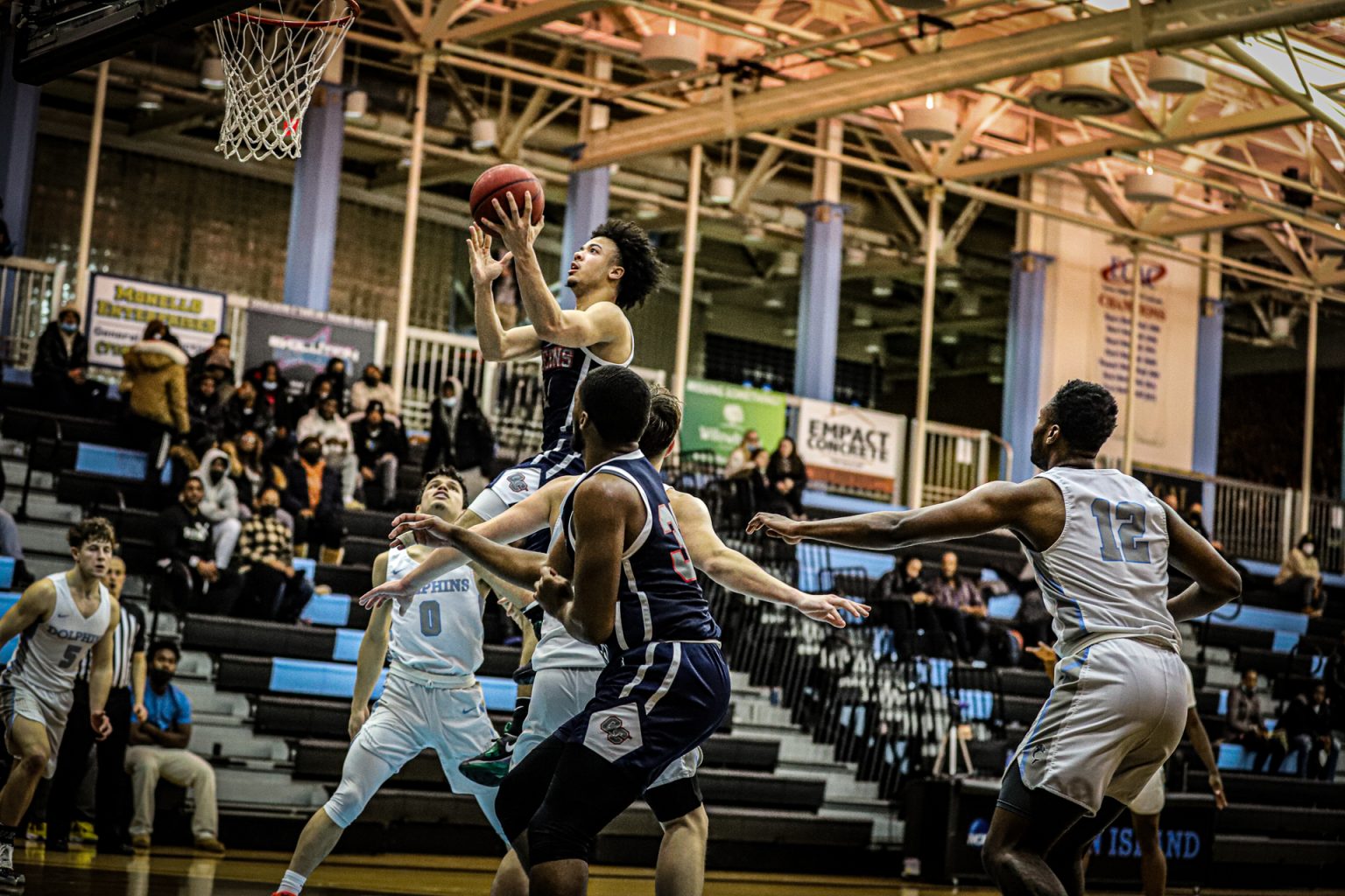 The Knight News Queens College's Studentrun Newspaper